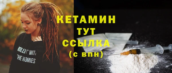 гидропоника Гусиноозёрск