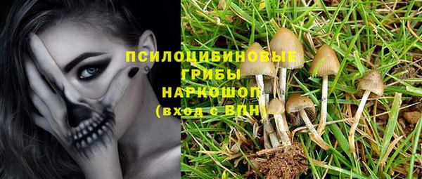 спиды Гусев