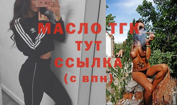 спиды Гусев