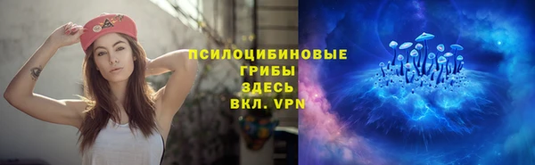 гидропоника Гусиноозёрск