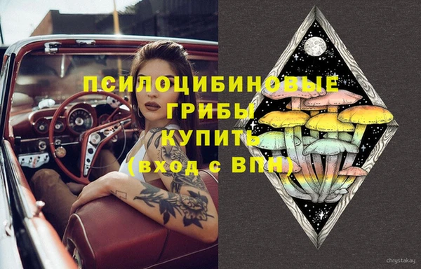 спиды Гусев