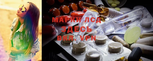 спиды Гусев